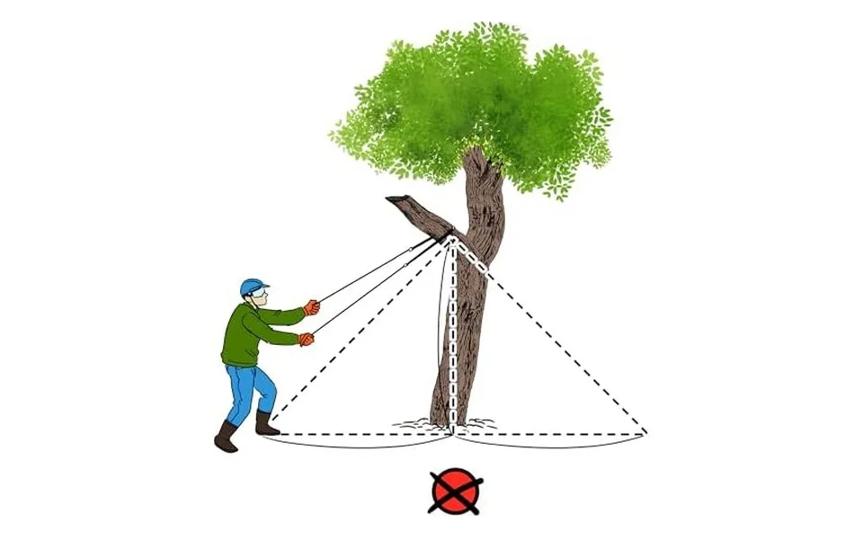 Diagram showing incorrect use of the rope saw: one person pulling both ropes from the same side of the tree