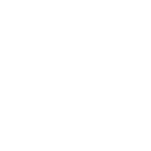 Spyral Saw by Bestway Products Company